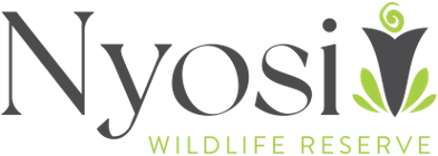 Nyosi